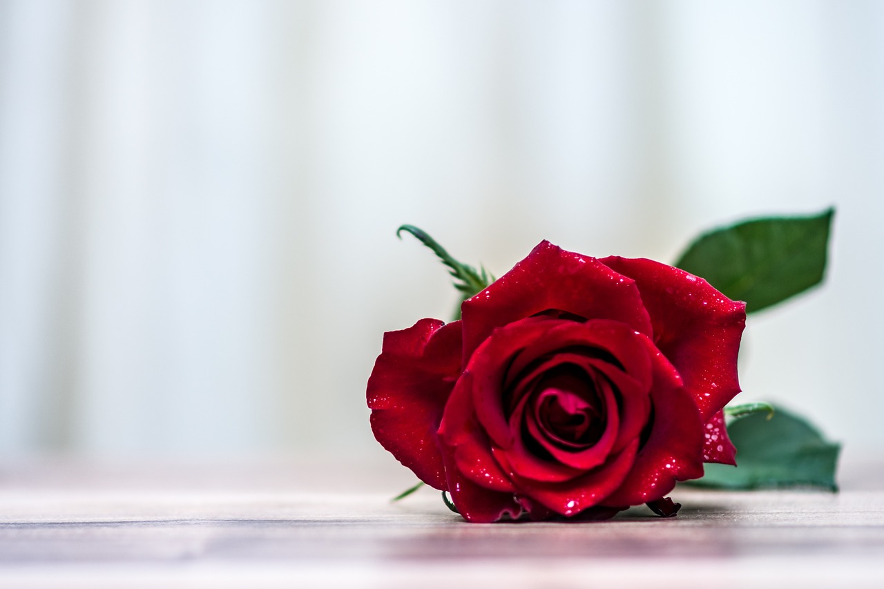 Green Dating Ideas for Eco-Conscious Singles